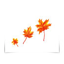 Search for maple cards Fall