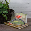 Search for funny cardinals cards Redbird