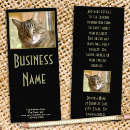 Search for felines rack cards Cat