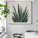 Search for agave posters Desert