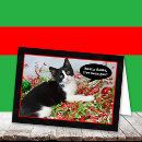 Search for tuxedo cat christmas cards Kitten