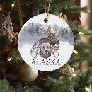 Search for cruising ornament christmas tree decorations Alaska