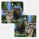 Search for squirrel christmas tree decorations nature