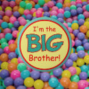 Search for new big brother gifts Sibling