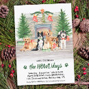 Search for veterinarian invitations Animals