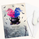 Search for halloween gender reveal Witch