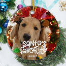 Search for fun christmas tree decorations Dog