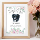 Search for collie pet posters Watercolor
