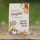 Search for little pumpkin birthday Plaid