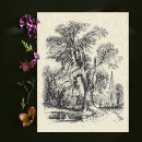 Search for ashes postcards England