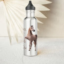 Search for arabian horse Equestrian