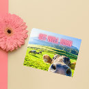 Search for countries photo cards Photography