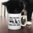 Search for i was normal mugs Cat