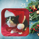 Search for christmas cat plates Black