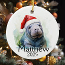 Search for manatee christmas tree decorations Florida