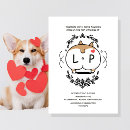 Search for corgi weddings Cute