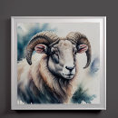Search for mountain sheep posters Forest