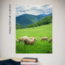 Search for mountain sheep posters Green