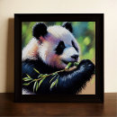 Search for panda eating bamboo posters China