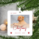 Search for paw christmas tree decorations Cute