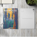 Search for redwood national park postcards Sequoia tree