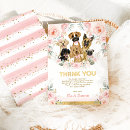 Search for shelters cards For her