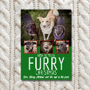 Search for furry christmas cards Green