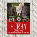 Search for furry christmas cards Green