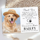 Search for sympathy thank you cards Celebration of life
