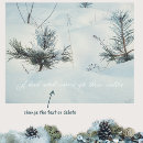Search for spirits photography Forest