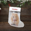 Search for hamster christmas stockings Rodent