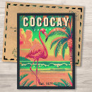 Search for coco cay Bahamas