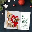 Search for white dog christmas cards Funny