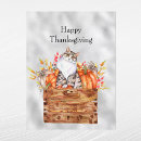 Search for thanksgiving cat postcards Orange