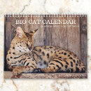 Search for big cat calendars Leopards