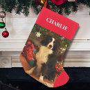 Search for pet christmas stockings Dog