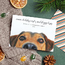 Search for warm wishes cards Simple