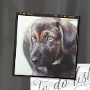 Search for instagram magnets Cute