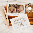 Search for lil bears cards For kids