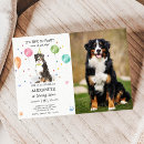 Search for bernese invitations Lets pawty