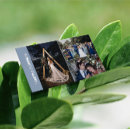 Search for white dove business cards Modern