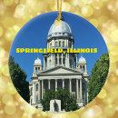 Search for illinois christmas tree decorations City