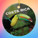 Search for costa rica christmas tree decorations Beach