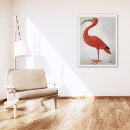 Search for flamingo posters Vintage