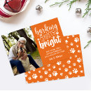 Search for paw print cards From the dog