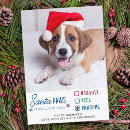 Search for naughty but nice cards Dog