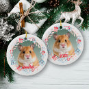 Search for hamster christmas tree decorations Cat