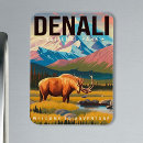 Search for denali magnets Mt mckinley