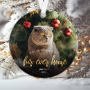 Search for feline christmas tree decorations Keepsake