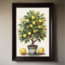 Search for lemon tree posters Watercolor